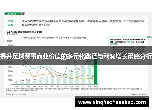 提升足球赛事商业价值的多元化路径与利润增长策略分析